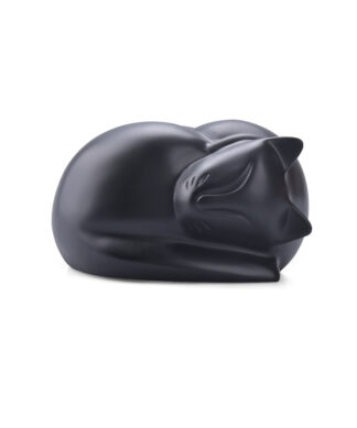 Sleeping Cat Black