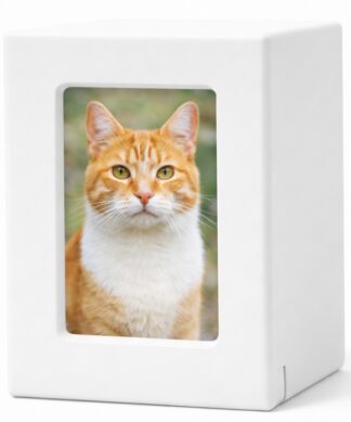 MDF Foto White